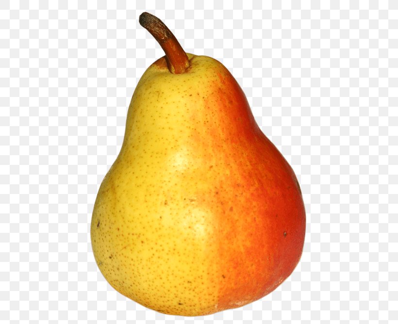 Pear Fruit Image Auglis, PNG, 481x668px, 3d Computer Graphics, Pear, Accessory Fruit, Auglis, Food Download Free