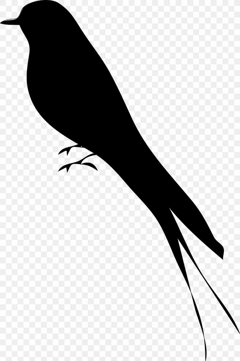 Bird Silhouette Drawing Clip Art, PNG, 850x1280px, Bird, Art, Beak, Black And White, Branch Download Free