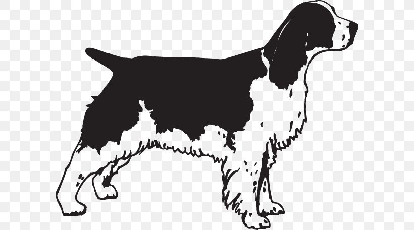 English Springer Spaniel Welsh Springer Spaniel Labrador Retriever English Cocker Spaniel The Springer Spaniel, PNG, 600x456px, English Springer Spaniel, Black And White, Breed, Carnivoran, Coloring Book Download Free