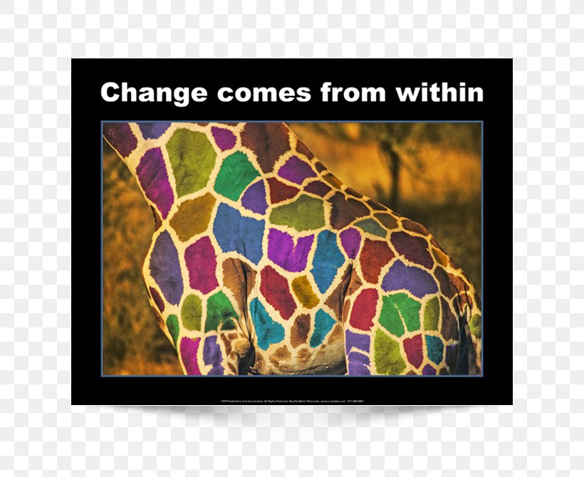 Motivational Poster Photography, PNG, 650x670px, Poster, Classroom, English, Giraffe, Giraffidae Download Free