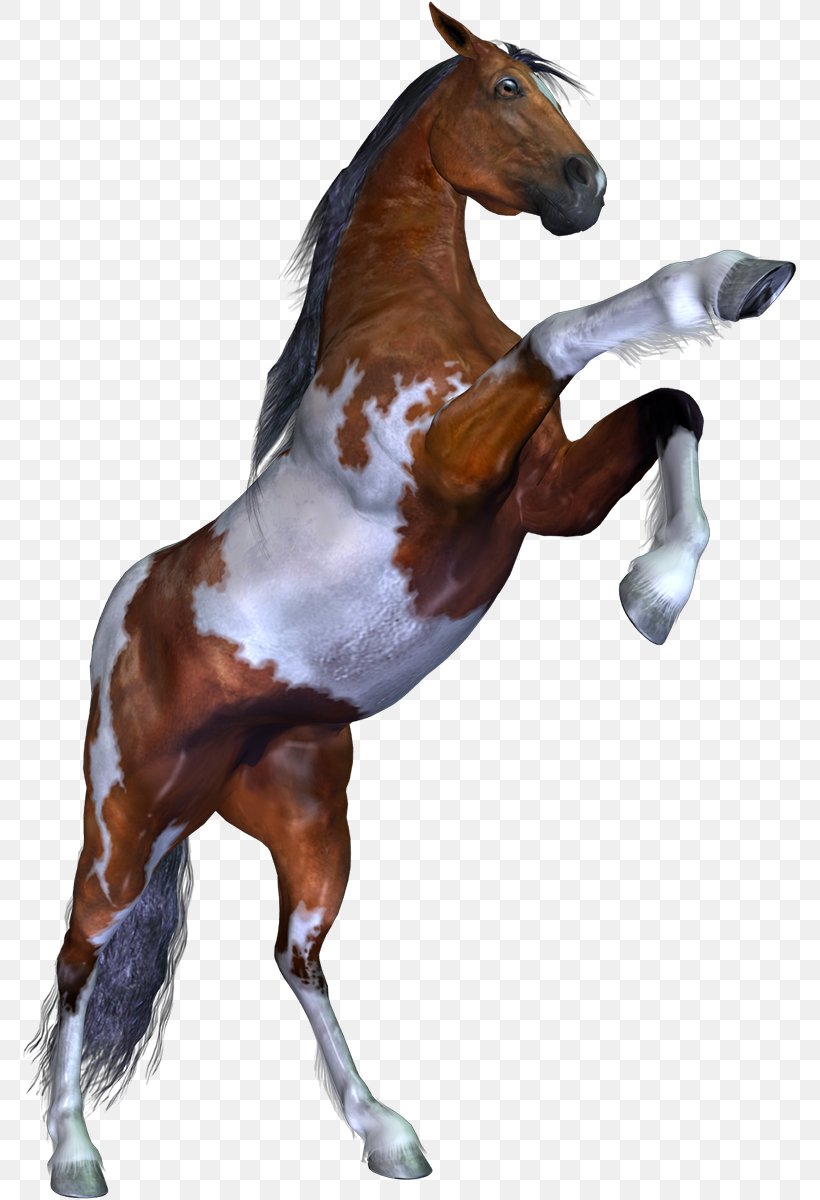 Mustang Stallion Pack Animal Pony, PNG, 776x1200px, 3d Computer Graphics, Mustang, Animal, Animal Figure, Bridle Download Free