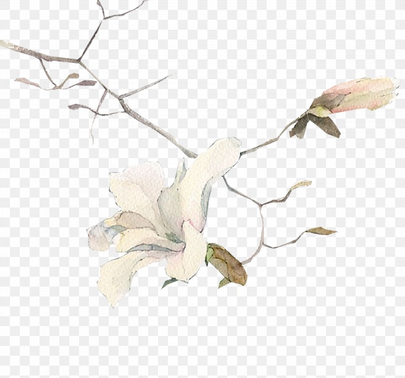 Drawing Watercolor Painting Art Illustration, PNG, 2916x2721px, Drawing, Art, Bird, Branch, Flora Download Free