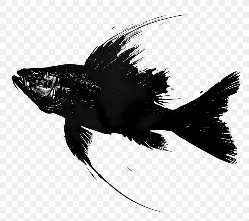 Fish Silhouette - Black Fish Silhouette Illustration PNG
