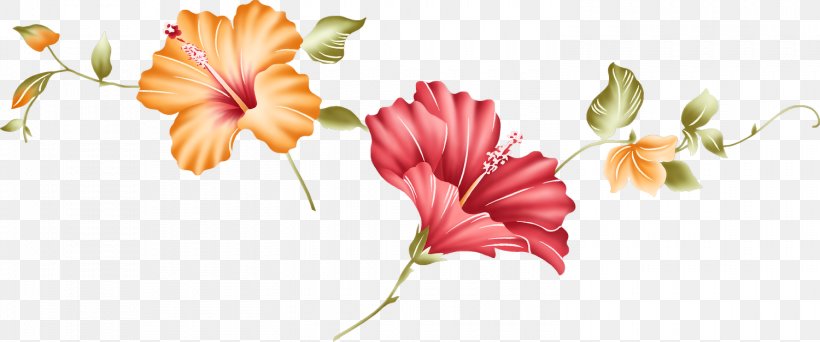 Flower Download Lilium, PNG, 1500x627px, Flower, Cut Flowers, Designer, Flora, Floral Design Download Free