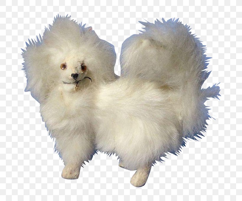 German Spitz Klein Pomeranian German Spitz Mittel Miniature Poodle Volpino, PNG, 680x680px, German Spitz Klein, Breed, Carnivoran, Companion Dog, Dog Download Free