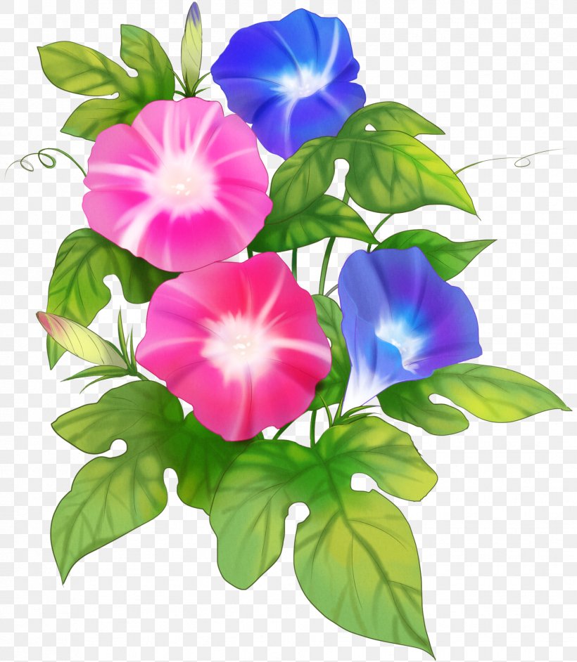 Japanese Morning Glory Flower Clip Art Illustration Red, PNG, 1829x2102px, Japanese Morning Glory, Annual Plant, Color, Floral Design, Flower Download Free