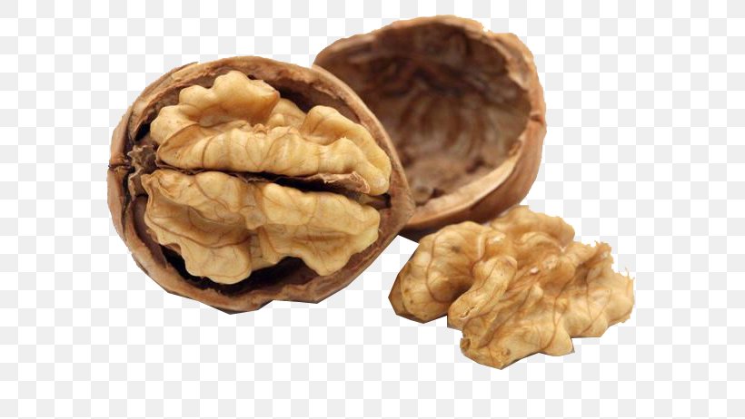 Nutrient Food Nutrition Dietary Supplement Walnut, PNG, 616x462px, Nutrient, Calorie, Diet, Dietary Supplement, Eating Download Free