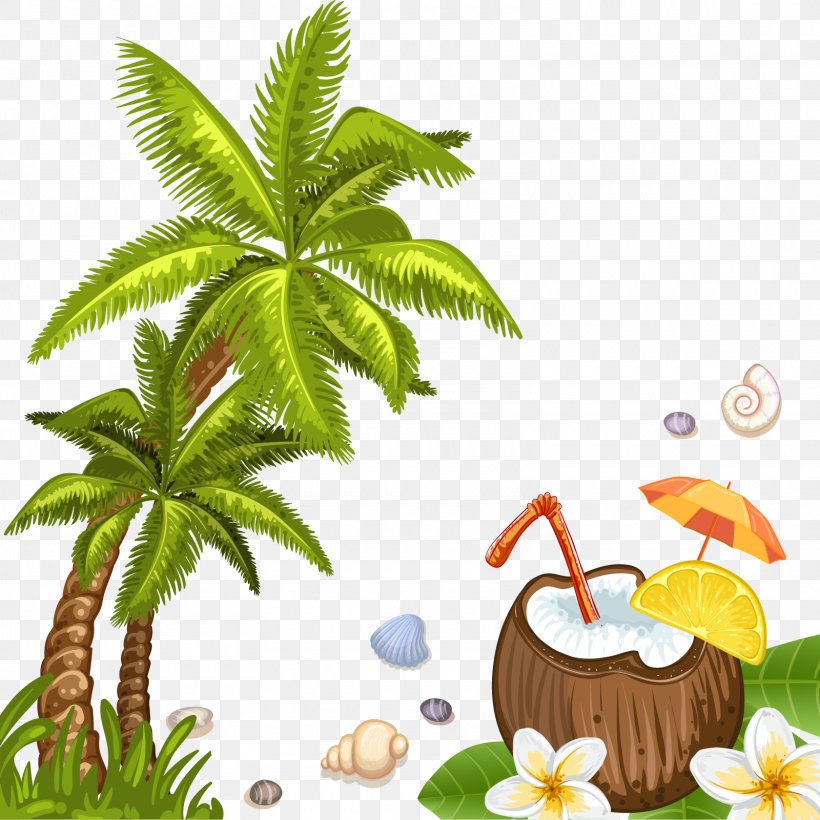 Coconut Water Beach Arecaceae, PNG, 1600x1601px, Coconut Water, Arecaceae, Arecales, Beach, Coconut Download Free