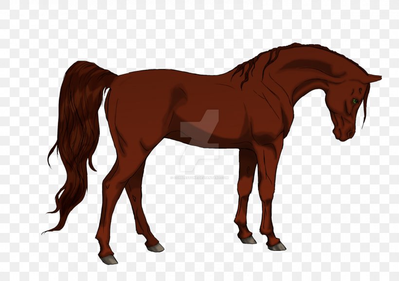 Foal Mane Stallion Mare Colt, PNG, 1600x1131px, Foal, Bridle, Colt, Halter, Horse Download Free
