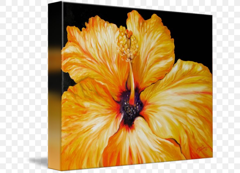 Hibiscus Gallery Wrap Modern Art Canvas, PNG, 650x593px, Hibiscus, April, Art, Canvas, Flower Download Free