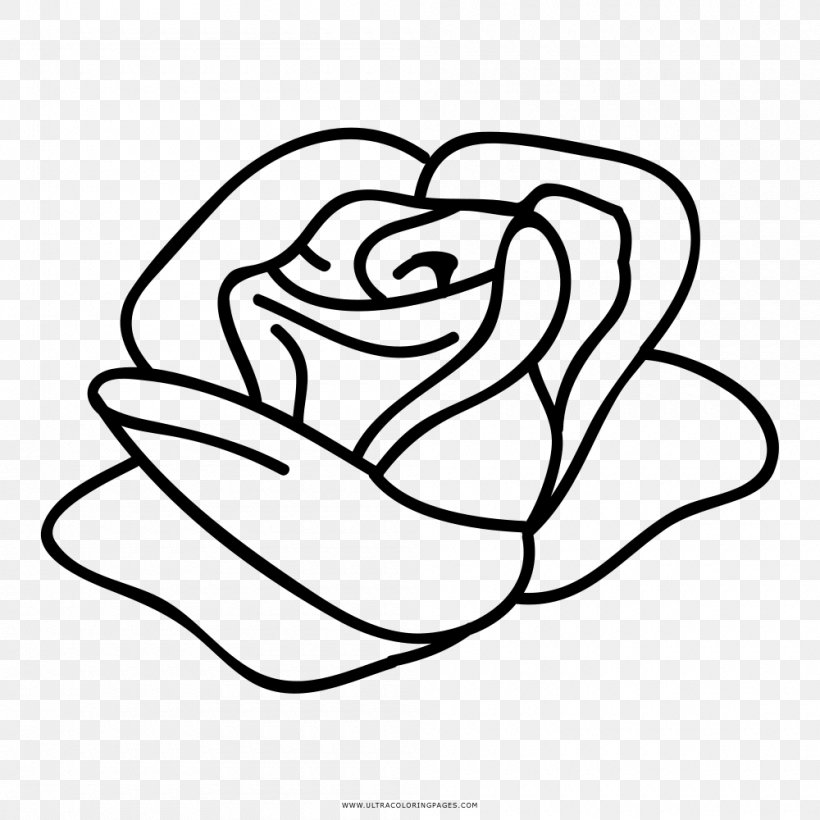 Paper Rose Template Coloring Book Flower, PNG, 1000x1000px, Watercolor, Cartoon, Flower, Frame, Heart Download Free