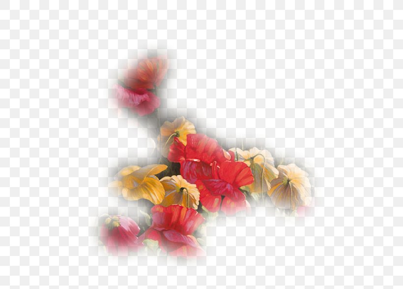 Petal Still Life France Télécom Graphic Design, PNG, 600x587px, Petal, Cut Flowers, Flower, Flowering Plant, Still Life Download Free