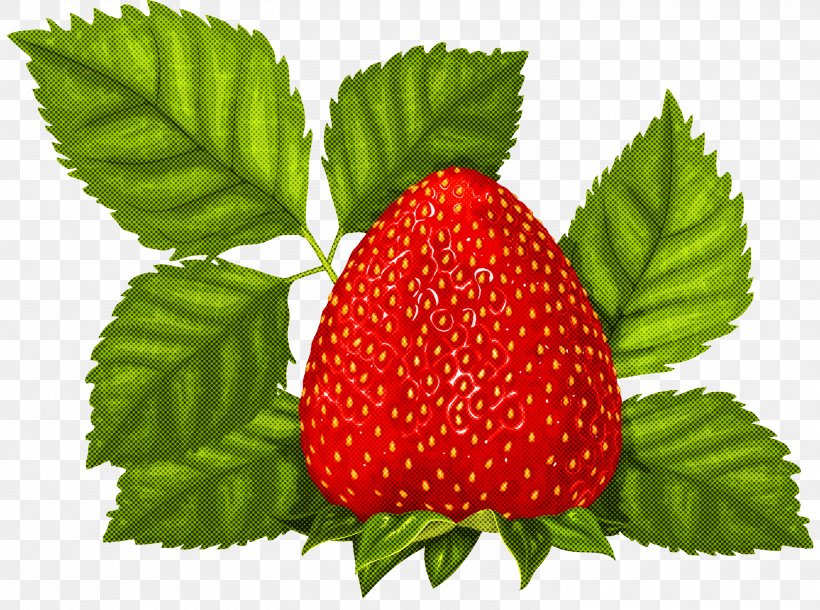 Strawberry, PNG, 3000x2234px, Strawberry, Alpine Strawberry, Berry, Fruit, Frutti Di Bosco Download Free