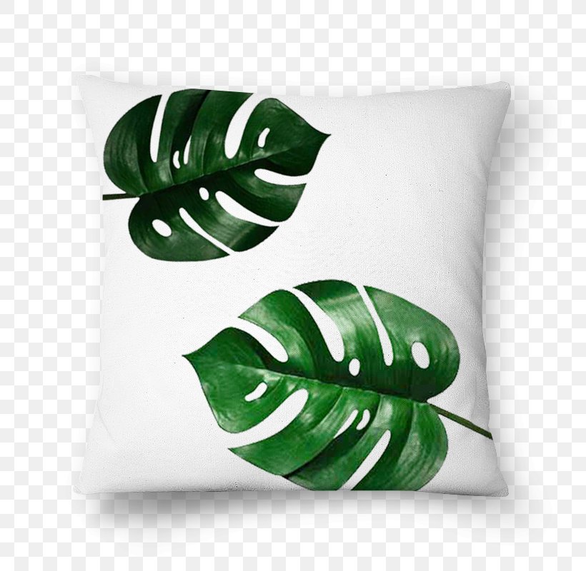 Swiss Cheese Plant Leaflet Tree Philodendron, PNG, 800x800px, Swiss Cheese Plant, Banana Leaf, Cactaceae, Color, Cushion Download Free