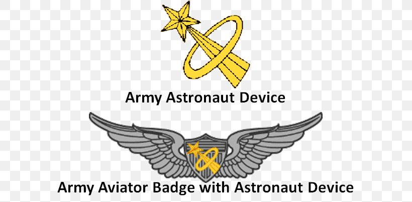 United States Aviator Badge Astronaut Badge Army 0506147919, PNG, 633x402px, United States Aviator Badge, Air Force, Army, Army Aviation, Astronaut Download Free