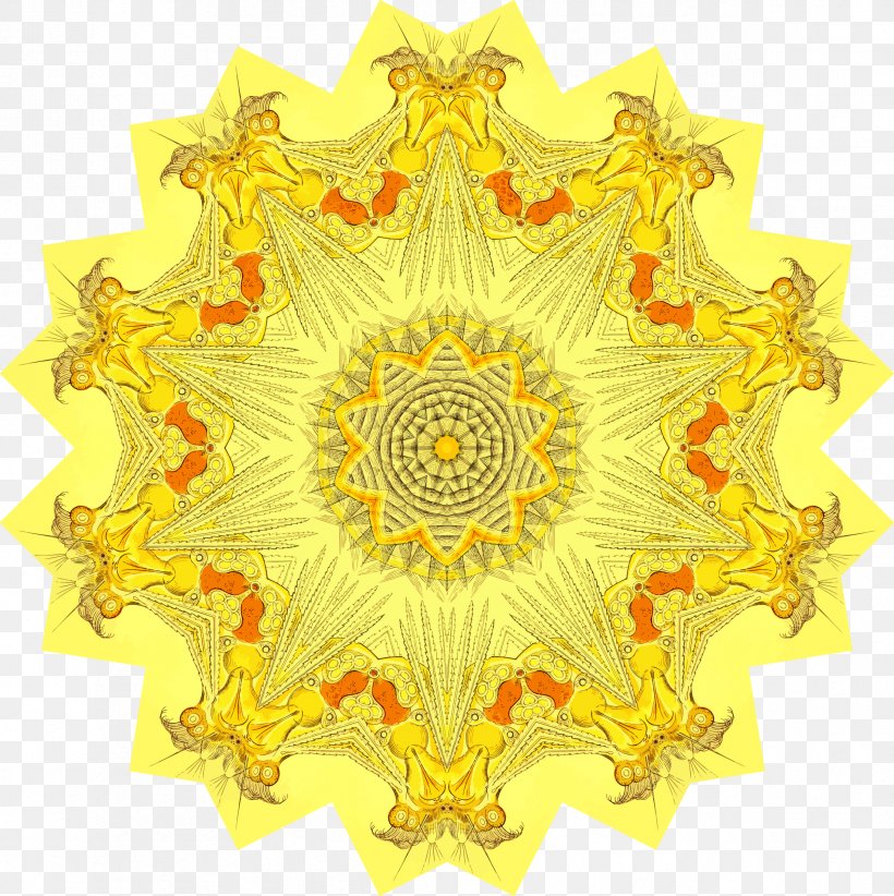 Pattern Symmetry Flower, PNG, 2394x2400px, Symmetry, Flower, Yellow Download Free