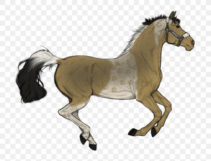 Stallion Trakehner Foal Mare Akhal-Teke, PNG, 1024x783px, Stallion, Akhalteke, Animal Figure, Bridle, Colt Download Free
