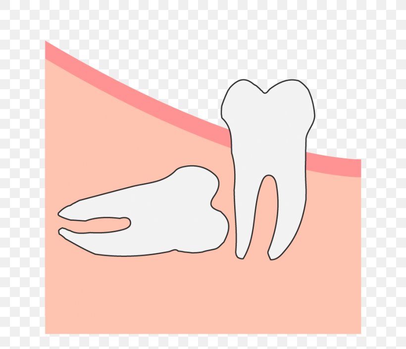 Thumb Hand Model Tooth Clip Art Jaw, PNG, 705x705px, Watercolor, Cartoon, Flower, Frame, Heart Download Free