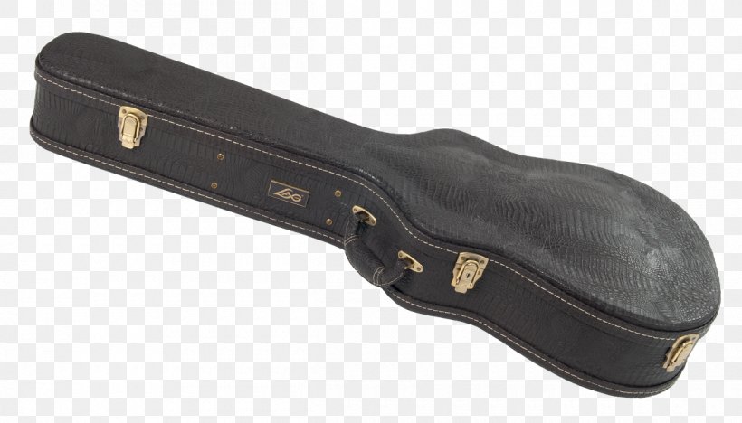 Twelve-string Guitar String Instruments String Instrument Accessory Acoustic Guitar, PNG, 1200x685px, Guitar, Acoustic Guitar, Dreadnought, Lag, Musical Instrument Download Free