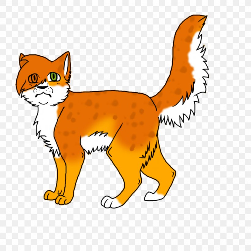 Whiskers Kitten Red Fox Wildcat, PNG, 894x894px, Whiskers, Animal, Animal Figure, Carnivoran, Cat Download Free