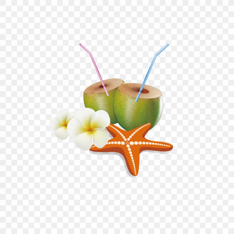 Coconut Milk, PNG, 1276x1276px, Coconut Milk, Coconut, Drawing, Food, Fruit Download Free