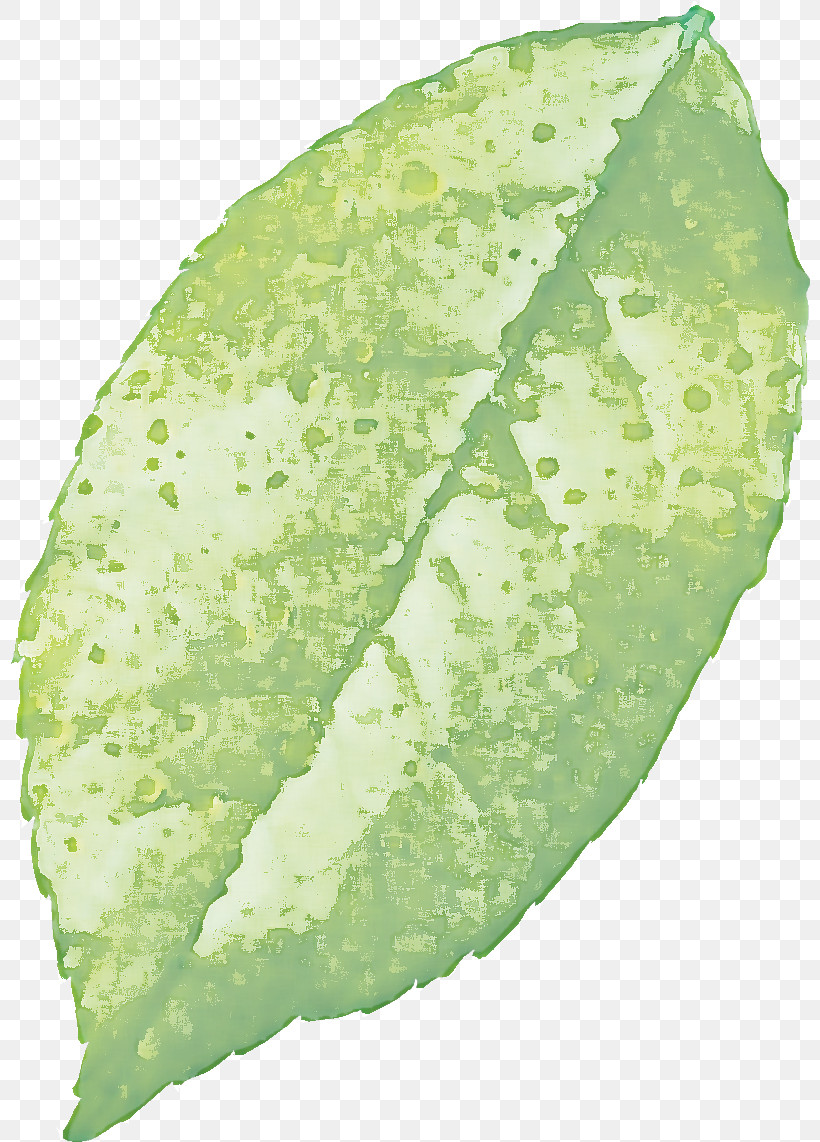 Plant Pathology Leaf Vegetable Pathology Plants, PNG, 800x1142px, Plant Pathology, Biology, Leaf, Pathology, Plant Structure Download Free