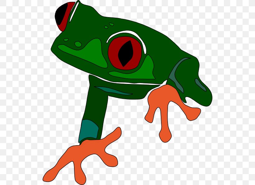 Red-eyed Tree Frog The Tree Frog Clip Art, PNG, 546x595px, Frog, American Green Tree Frog, Amphibian, Artwork, Australian Green Tree Frog Download Free