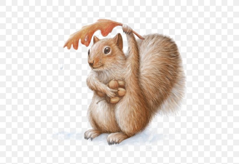 Squirrel Chipmunk Art Watercolor Painting Drawing, PNG, 564x564px, Squirrel, Art, Cartoon, Chipmunk, Drawing Download Free