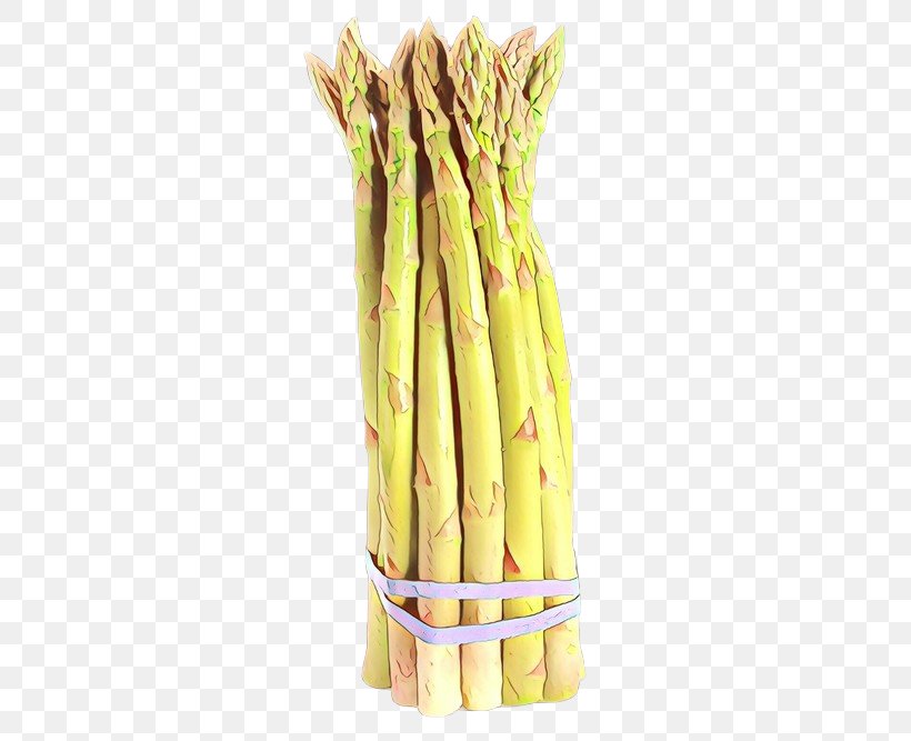 Bamboo Background, PNG, 500x667px, Commodity, Asparagus, Bamboo Shoot, Food, Plant Download Free