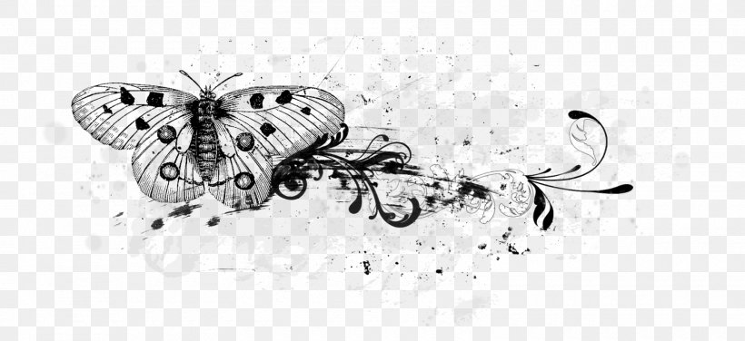 Butterfly Line Art Drawing, PNG, 1600x735px, Butterfly, Art, Arthropod, Artwork, Black And White Download Free