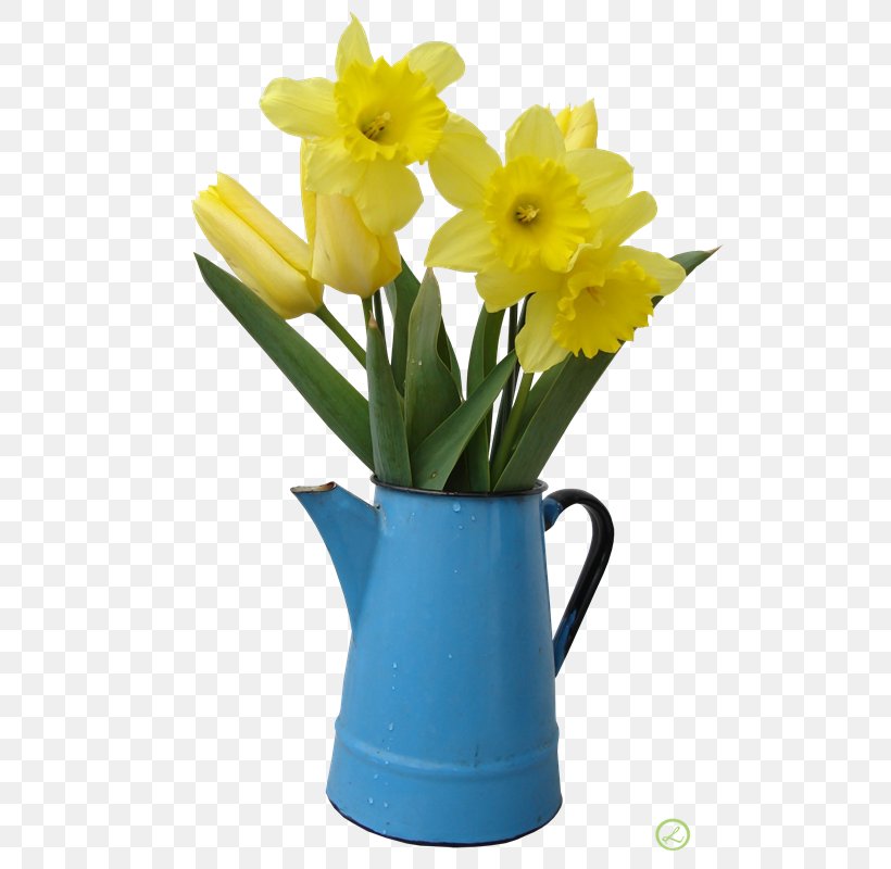 Daffodil Photography Flower Clip Art, PNG, 541x800px, Daffodil, Amaryllis Family, Cut Flowers, Floristry, Flower Download Free