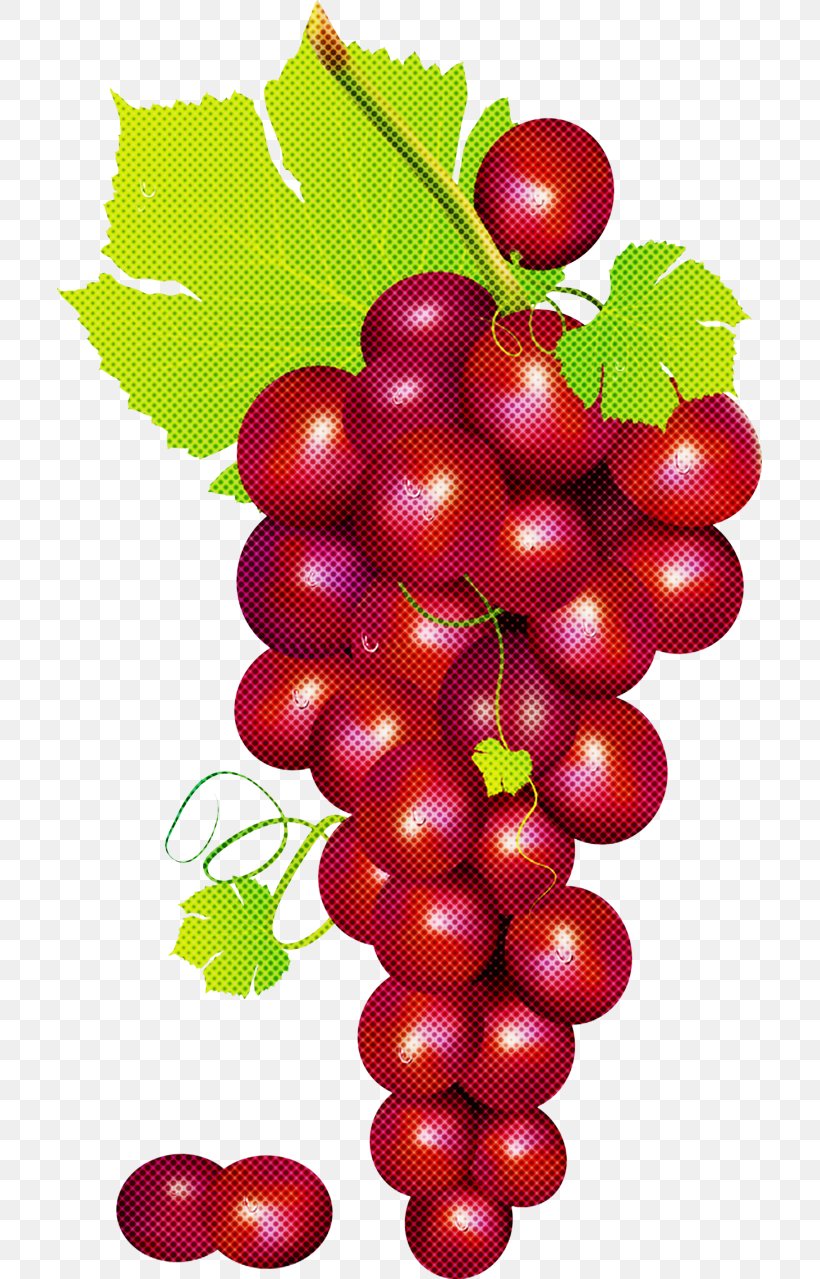 Grape Seedless Fruit Plant Grapevine Family Fruit, PNG, 705x1279px, Grape, Currant, Fruit, Grape Leaves, Grapevine Family Download Free