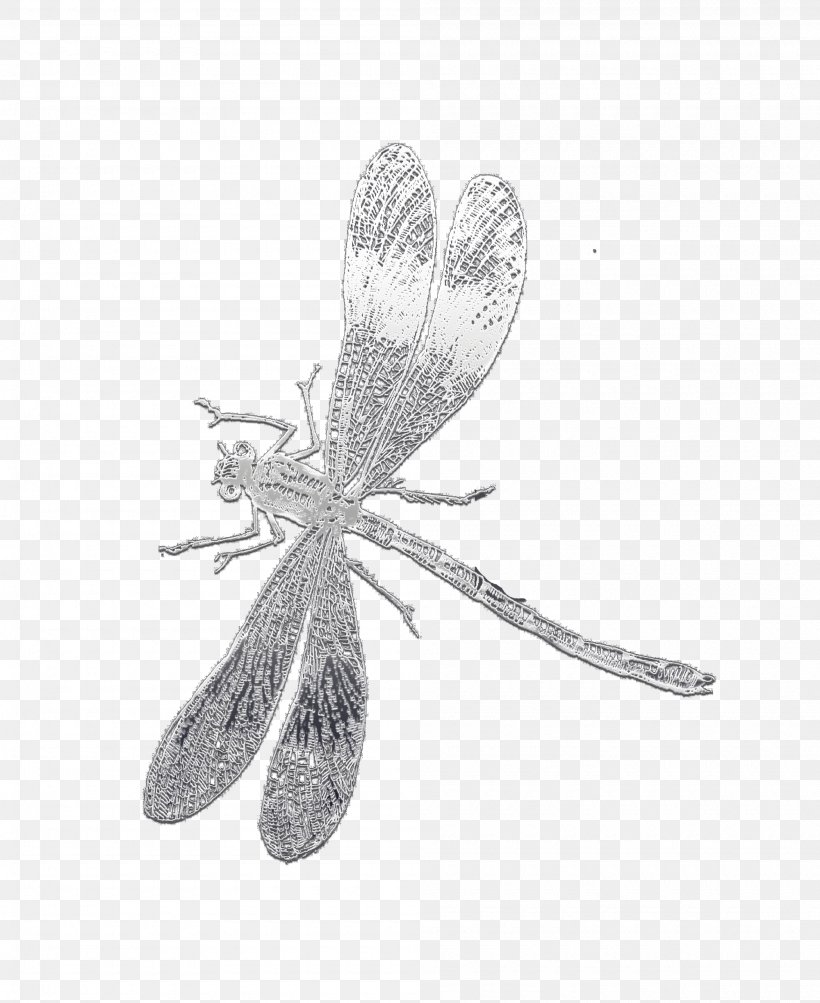 Leaf Drawing, PNG, 2000x2448px, Insect, Black White M, Blackandwhite, Brooch, Damselfly Download Free