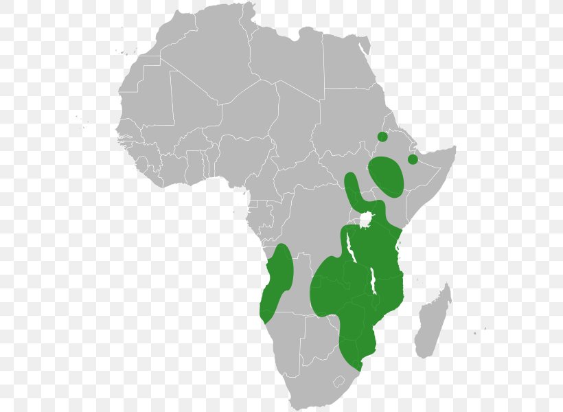 Member States Of The African Union Southern African Development Community Southern African Customs Union, PNG, 600x600px, Africa, African Continental Free Trade Area, African Economic Community, African Union, African Union Mission To Somalia Download Free