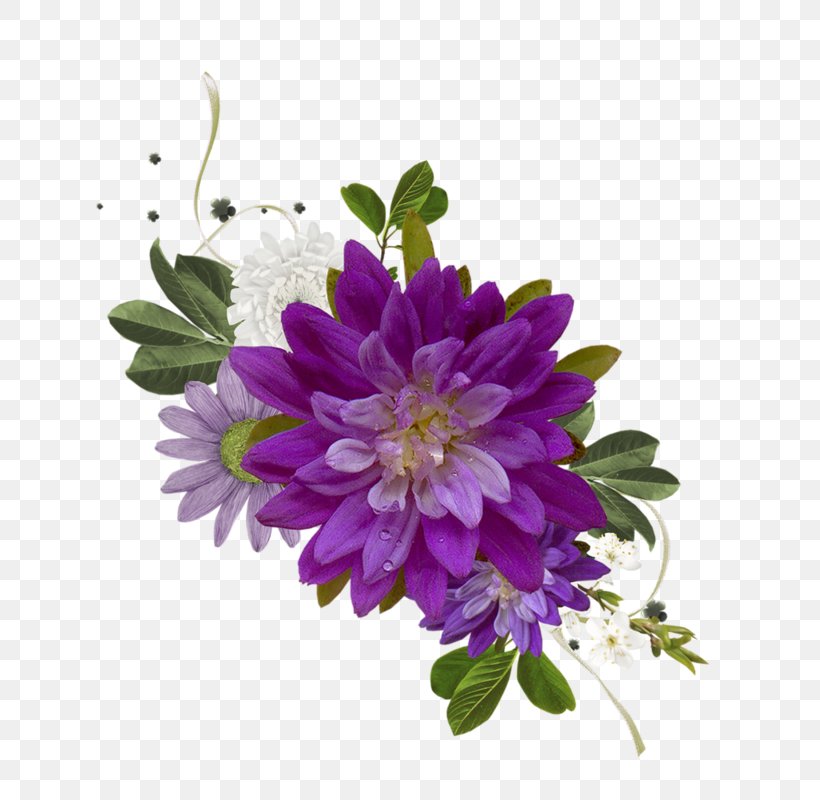 Cut Flowers Floral Design, PNG, 800x800px, Flower, Annual Plant, Aster, Autumn, Chrysanthemum Download Free