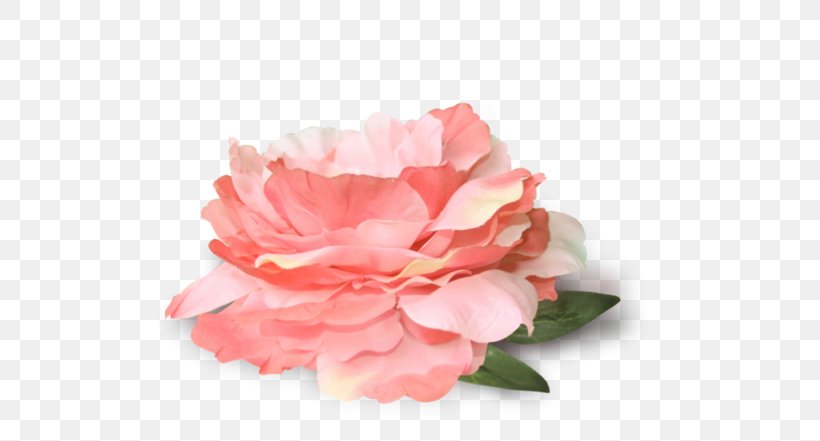 Flower Garden Roses Image Clip Art, PNG, 600x441px, Flower, Artificial Flower, Autocad Dxf, Carnation, Cut Flowers Download Free