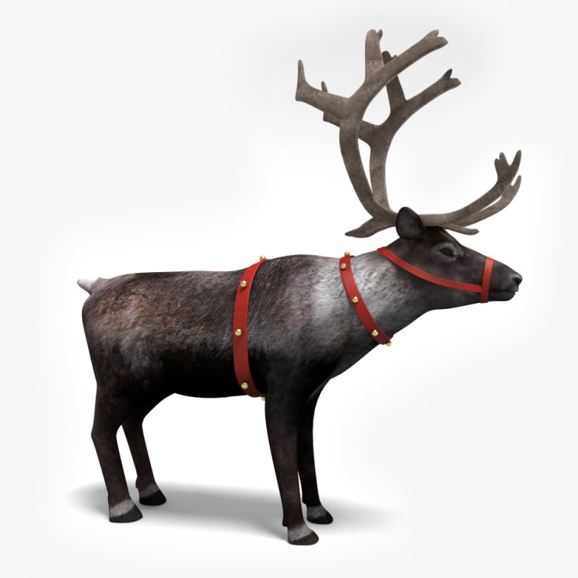 Santa Claus's Reindeer Santa Claus's Reindeer Clip Art, PNG, 1024x1024px, 3d Computer Graphics, 3d Modeling, Reindeer, Antler, Deer Download Free