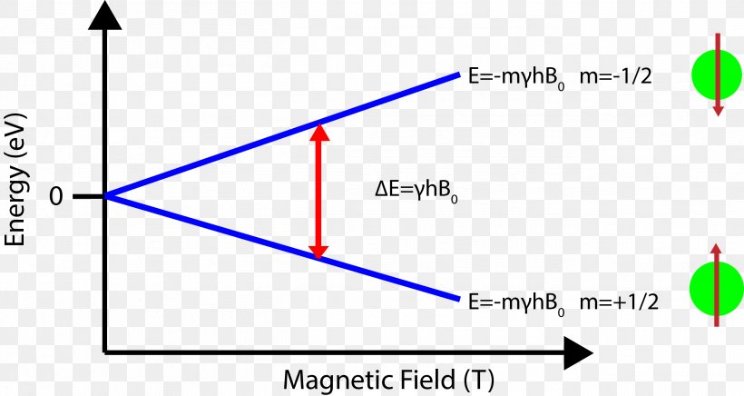 Zeeman Effect Nuclear Magnetic Resonance Spectroscopy Energy Level Nuclear Fission, PNG, 2619x1395px, Zeeman Effect, Area, Chemical Energy, Chemistry, Degenerate Energy Levels Download Free