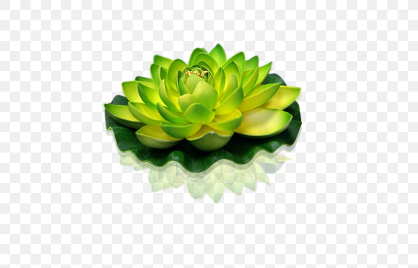 Green Lantern Sacred Lotus Flower Candle, PNG, 527x527px, Green, Candle, Color, Flores De Corte, Flower Download Free