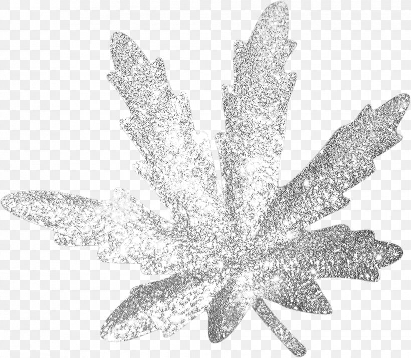 Leaf White, PNG, 1754x1531px, Leaf, Black And White, Monochrome Photography, Tree, White Download Free