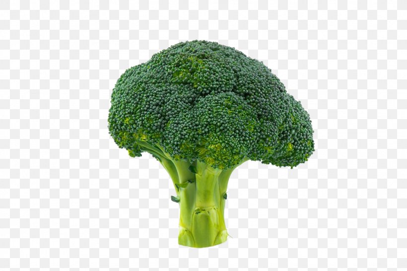 Broccoli Vegetable Cauliflower, PNG, 1024x683px, Broccoli, Brassica Oleracea, Cabbage, Cauliflower, Cherry Tomato Download Free