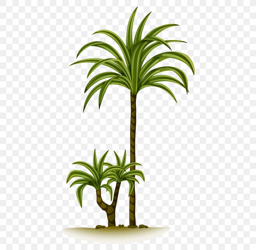 Clip Art Vector Graphics Illustration Gallery Of Trees Image, PNG, 470x800px, Gallery Of Trees, Arecales, Drawing, Flowering Plant, Flowerpot Download Free