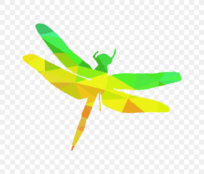 Insect Yellow Line Membrane, PNG, 2700x2300px, Insect, Automotive Wheel System, Dragonflies And Damseflies, Green, Invertebrate Download Free