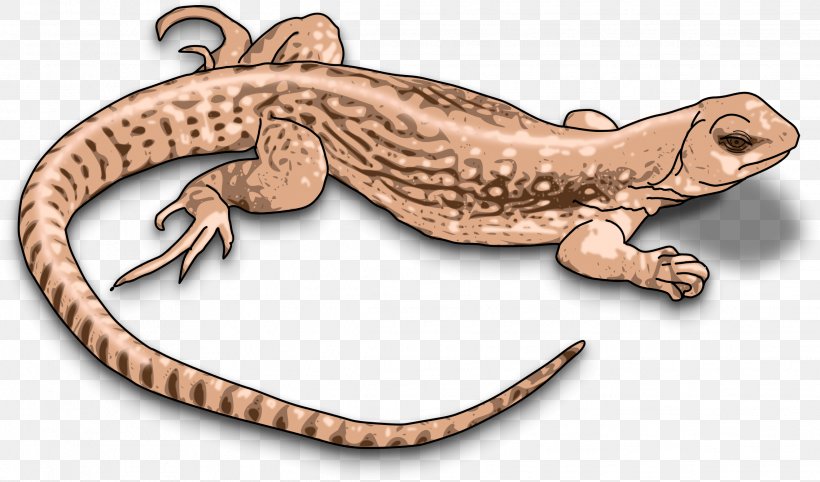 Komodo Dragon Lizard Reptile Chameleons Clip Art, PNG, 2273x1337px, Komodo Dragon, Amphibian, Animal Figure, Bearded Dragons, Chameleons Download Free