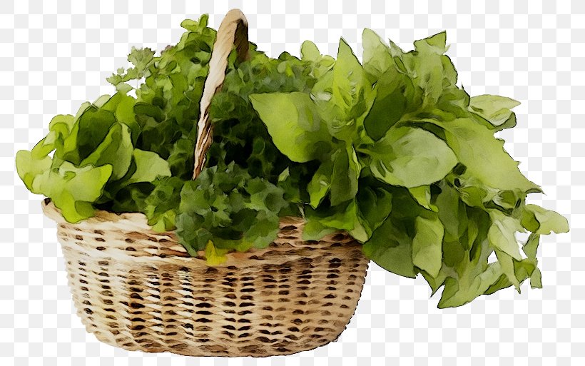 Spring Greens Romaine Lettuce Herb, PNG, 800x513px, Spring Greens, Annual Plant, Basket, Flower, Flowerpot Download Free