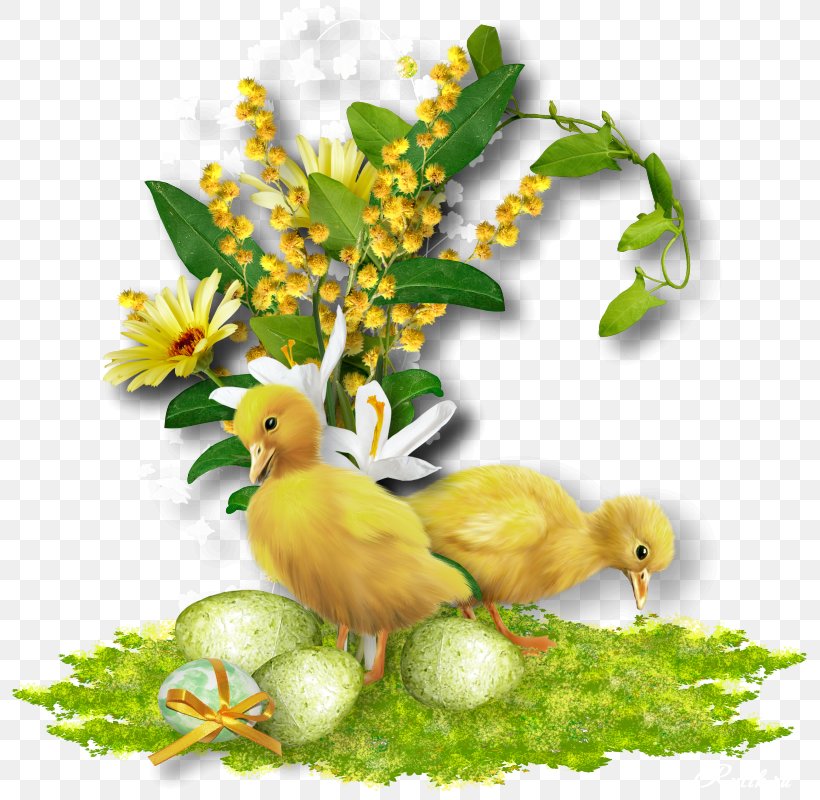 Paper Easter Letter April 5 Frantina, PNG, 798x800px, Paper, April 5, Beak, Bird, Branch Download Free