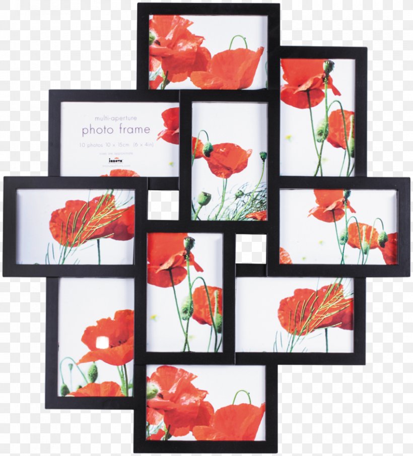 Picture Frames Photography Plastic, PNG, 850x939px, Picture Frames, Art, Collage, Color, Coquelicot Download Free