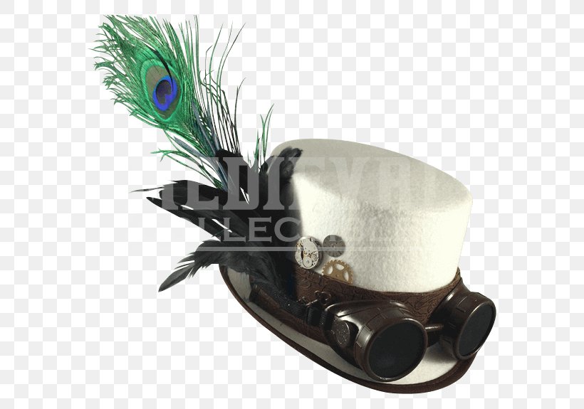 Top Hat Steampunk Waistcoat Bowler Hat, PNG, 575x575px, Top Hat, Bowler Hat, Clothing Accessories, Feather, Formal Wear Download Free