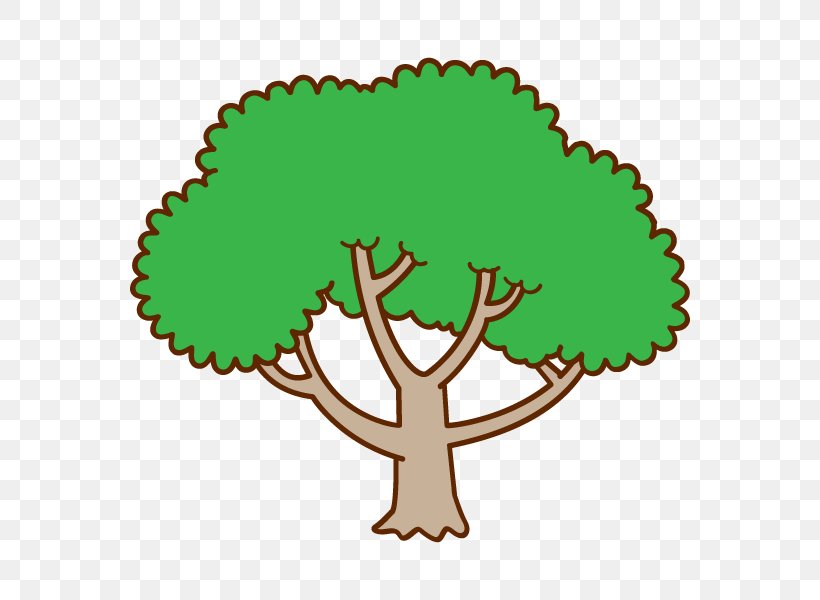 Branch Illustration Clip Art Vector Graphics, PNG, 600x600px, Branch, Area, Artwork, Grass, Green Download Free