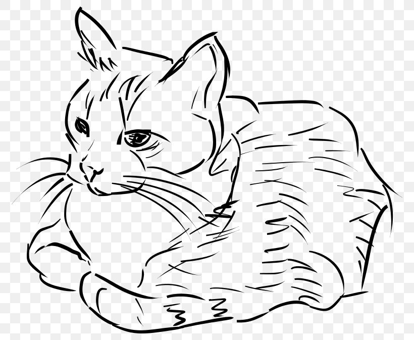 Cat Line Art Drawing Clip Art, PNG, 800x673px, Cat, Art, Art Museum, Artwork, Black Download Free